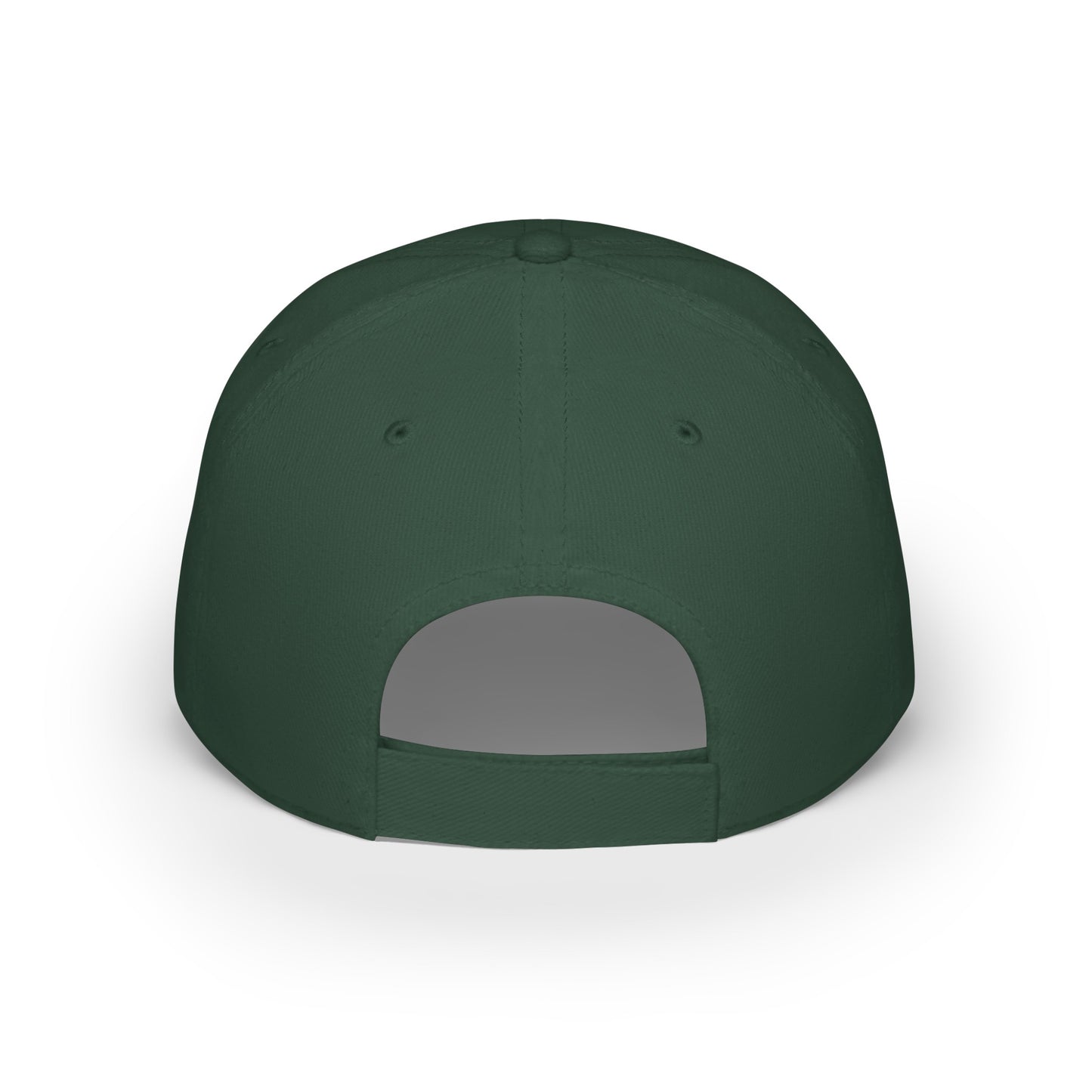 Veterans Day / Armed Services / Military / Low Profile Baseball Cap