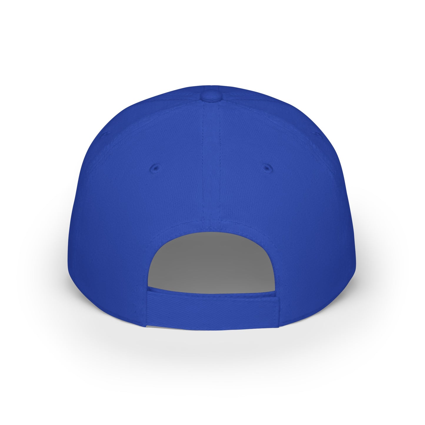 Veterans Day / Armed Services / Military / Low Profile Baseball Cap